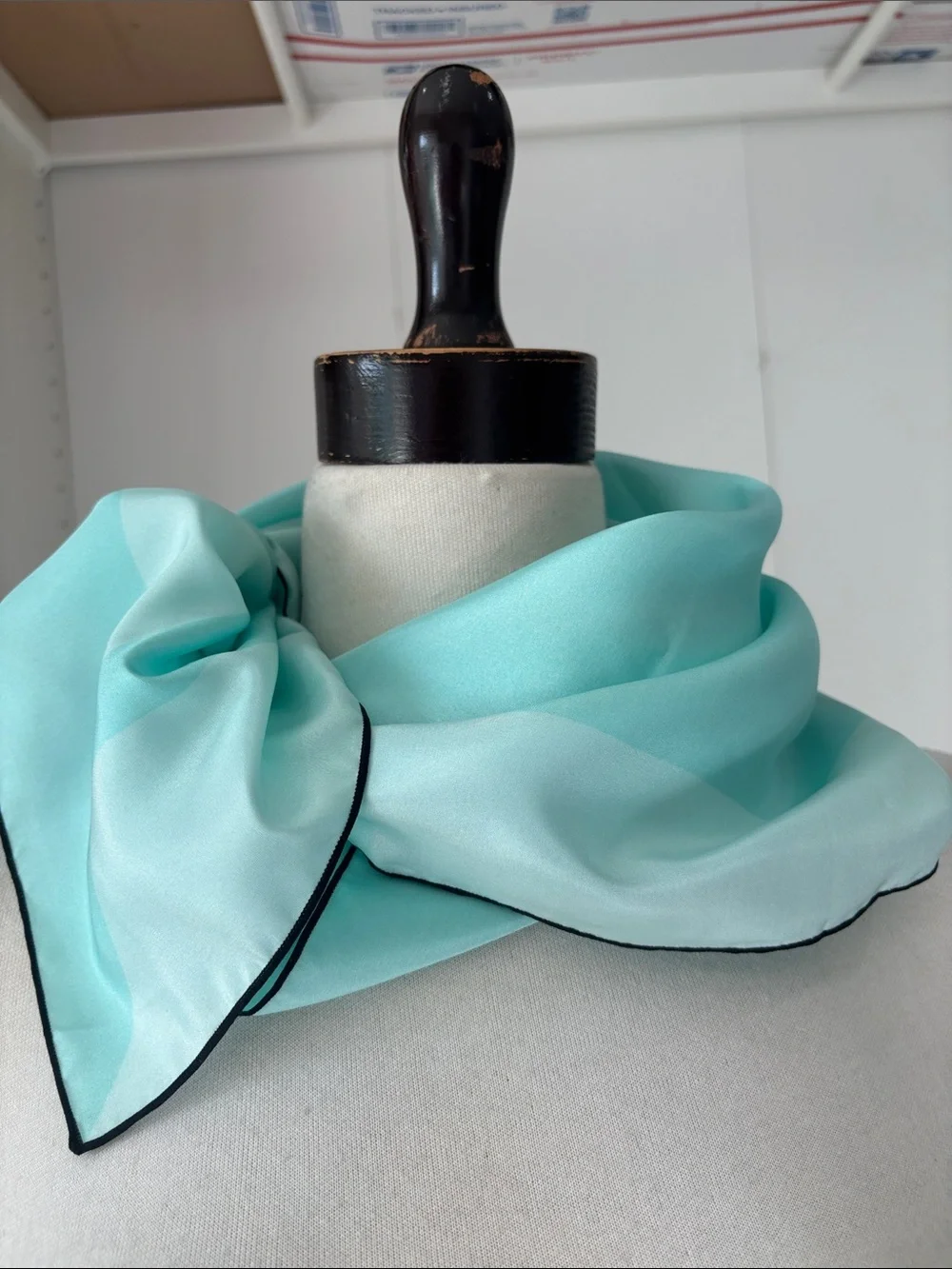 Light Aqua Neck Scarf with Black Trim silk scarf